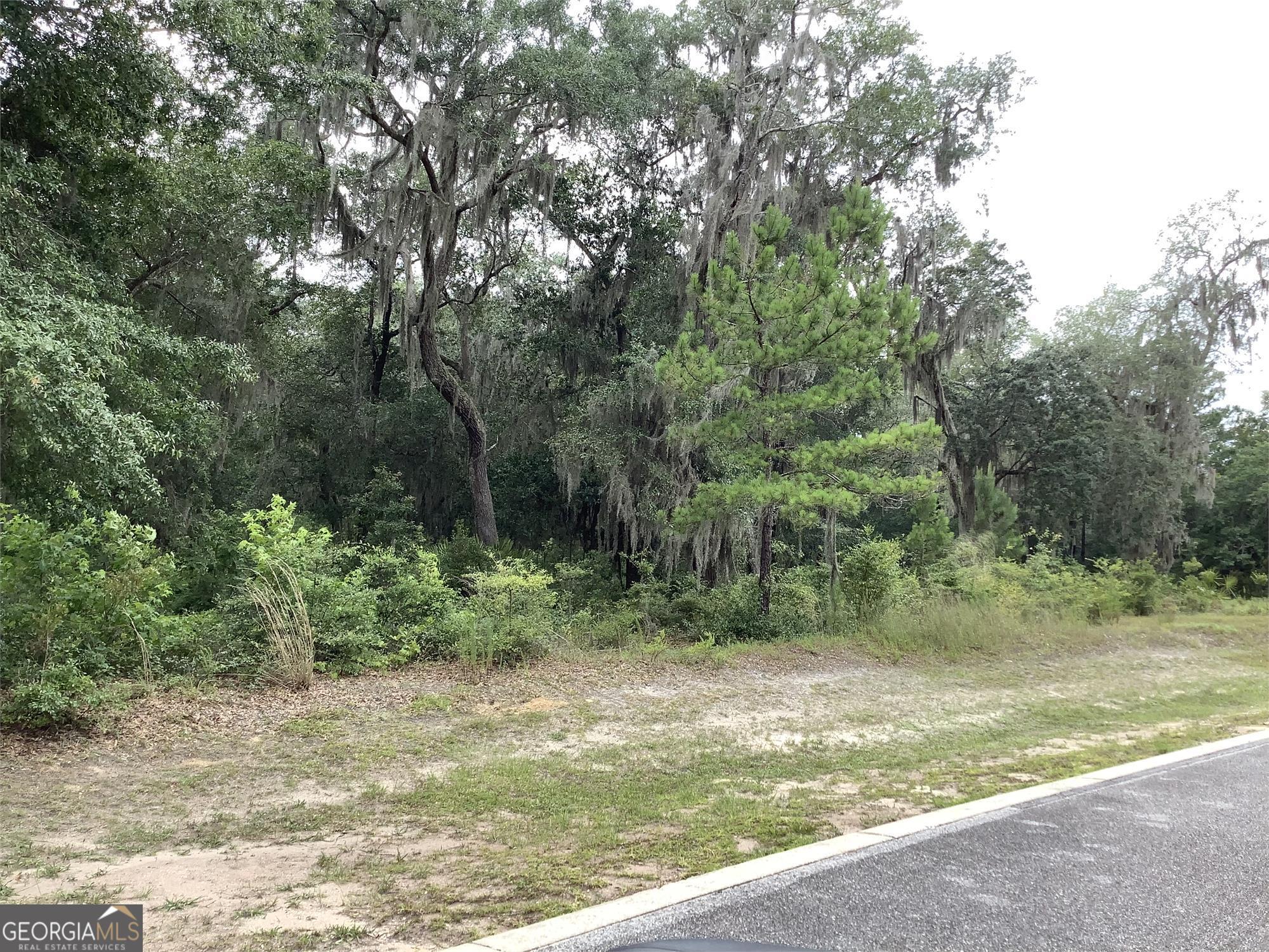 116 Annapolis Drive Waverly GA 31565