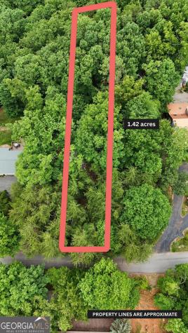 Lot B2 Starlight Drive Sautee Nacoochee GA 30571