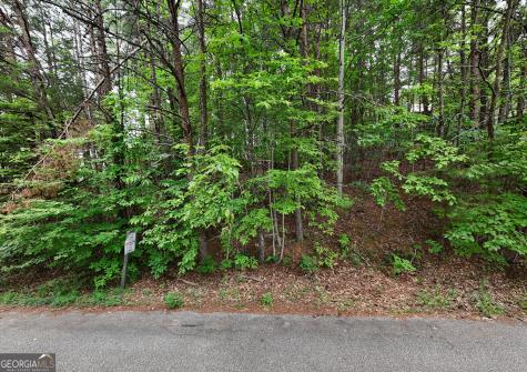 Lot B2 Starlight Drive Sautee Nacoochee GA 30571