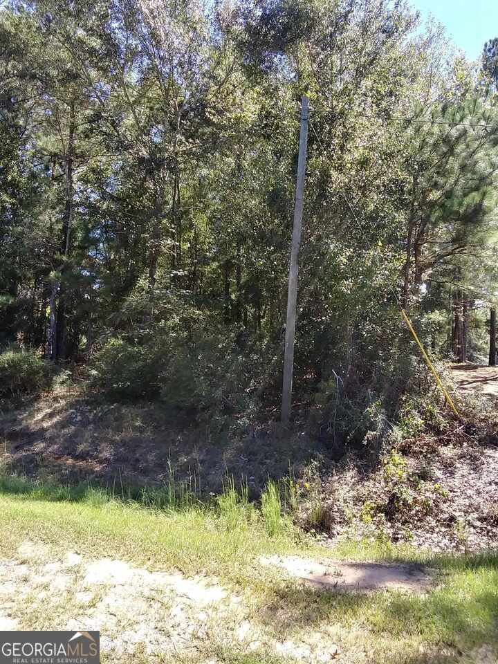 0 Glover Road Harrison GA 31035