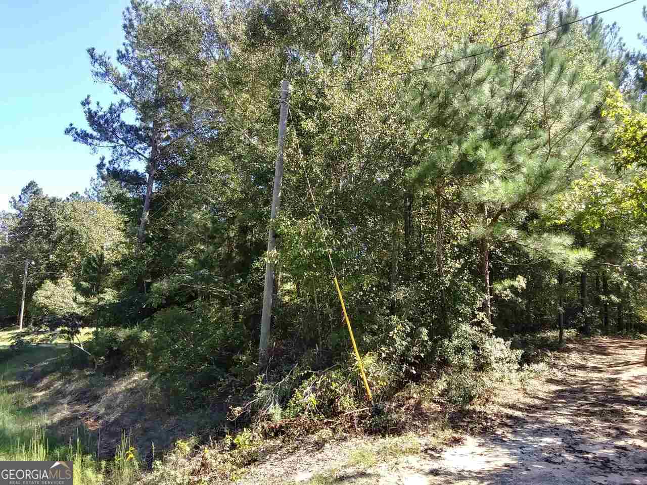 0 Glover Road Harrison GA 31035
