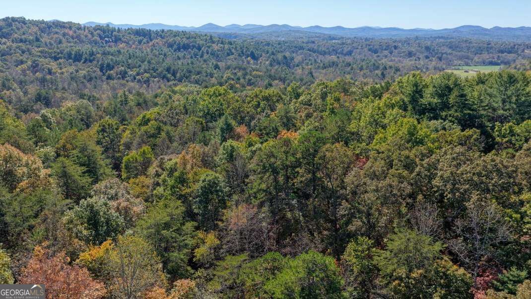 3 Ac Alicia Lane Blairsville GA 30512
