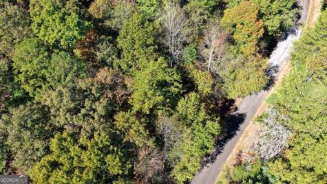 3 Ac Alicia Lane Blairsville GA 30512