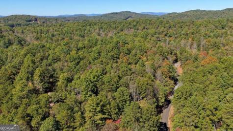3 Ac Alicia Lane Blairsville GA 30512