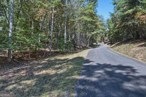 3 Ac Alicia Lane Blairsville GA 30512