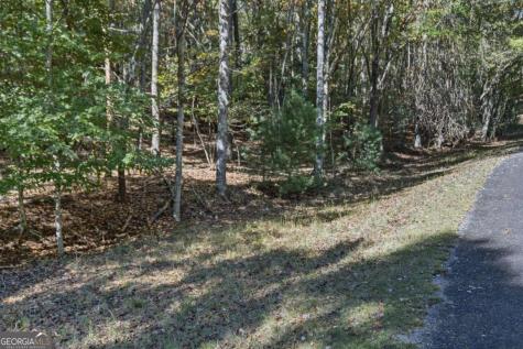 3 Ac Alicia Lane Blairsville GA 30512
