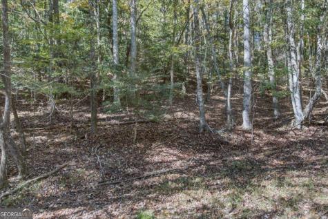 3 Ac Alicia Lane Blairsville GA 30512