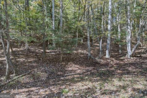 3 Ac Alicia Lane Blairsville GA 30512