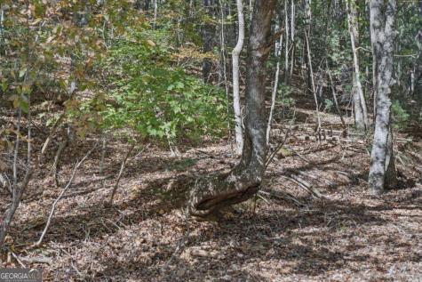 3 Ac Alicia Lane Blairsville GA 30512