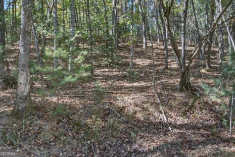 3 Ac Alicia Lane Blairsville GA 30512