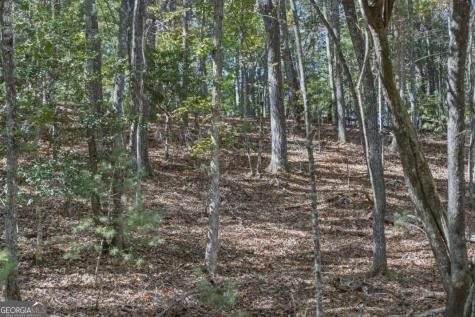 3 Ac Alicia Lane Blairsville GA 30512