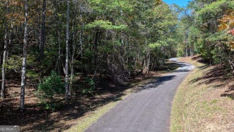 3 Ac Alicia Lane Blairsville GA 30512