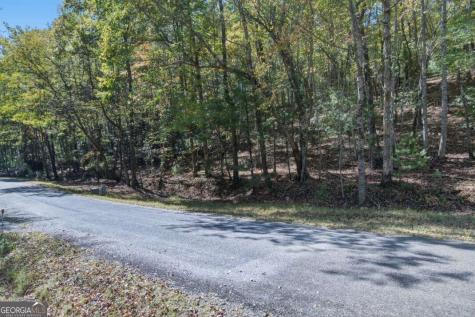 3 Ac Alicia Lane Blairsville GA 30512