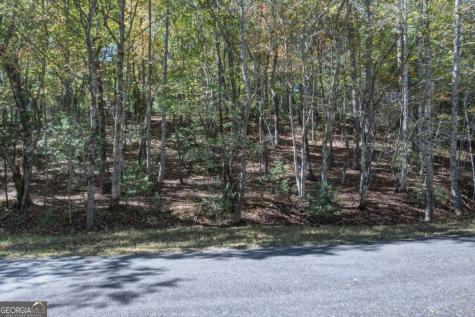 3 Ac Alicia Lane Blairsville GA 30512