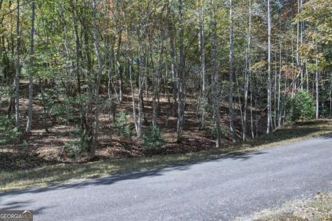3 Ac Alicia Lane Blairsville GA 30512