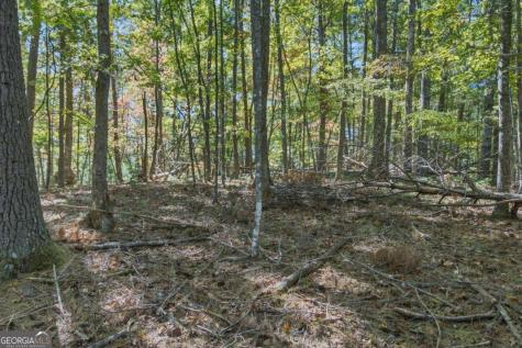 3 Ac Alicia Lane Blairsville GA 30512