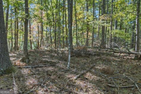3 Ac Alicia Lane Blairsville GA 30512