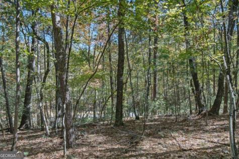 3 Ac Alicia Lane Blairsville GA 30512