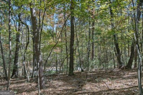3 Ac Alicia Lane Blairsville GA 30512