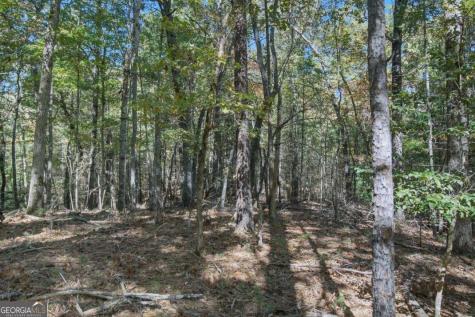 3 Ac Alicia Lane Blairsville GA 30512