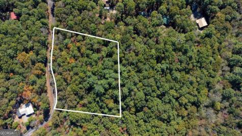 3 Ac Alicia Lane Blairsville GA 30512