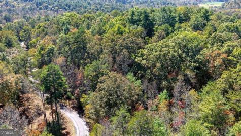 3 Ac Alicia Lane Blairsville GA 30512