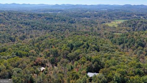 3 Ac Alicia Lane Blairsville GA 30512