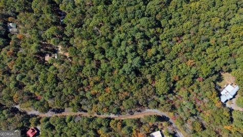 3 Ac Alicia Lane Blairsville GA 30512