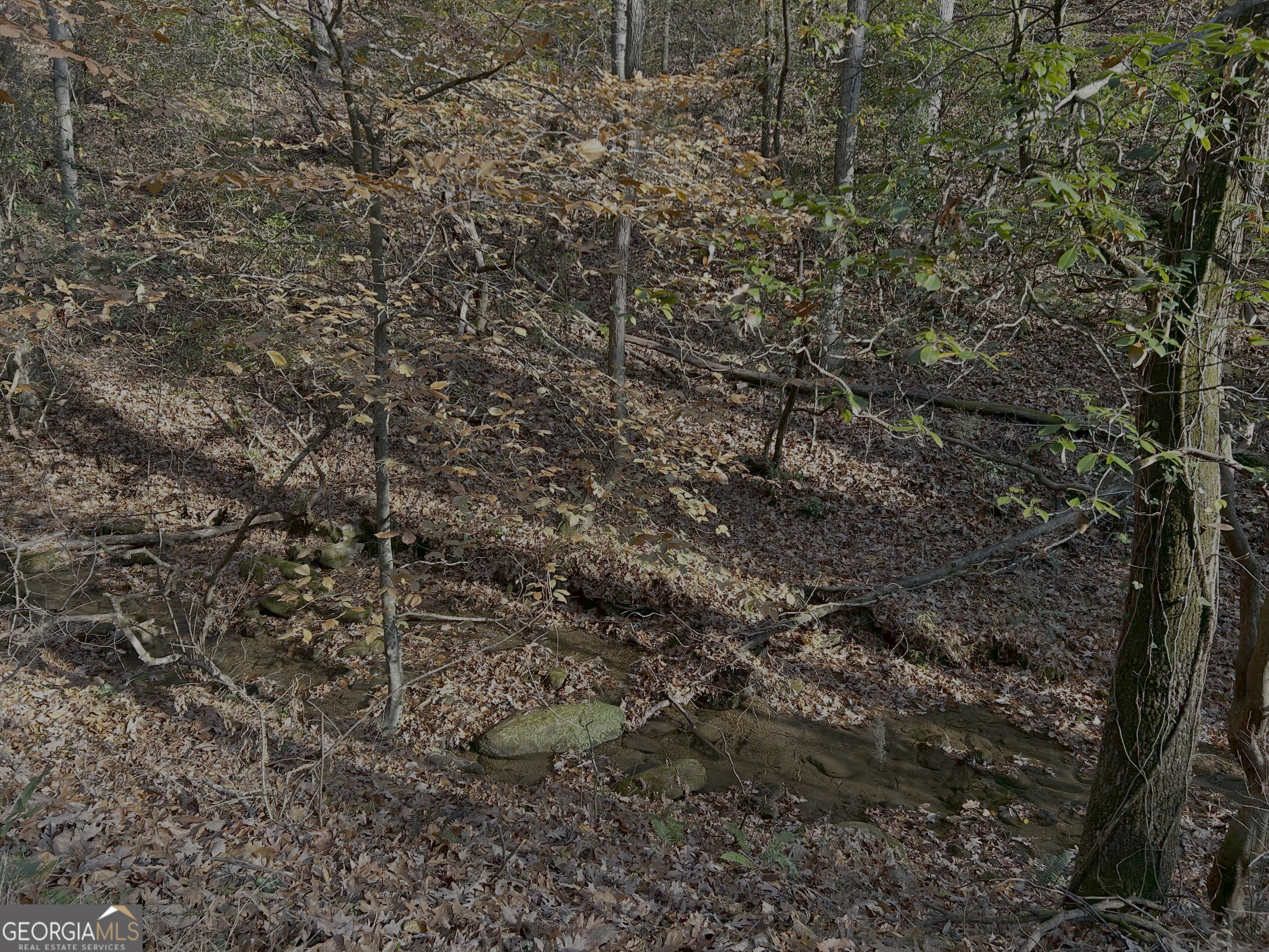 308 Rhododendron Lane Sautee Nacoochee GA 30571