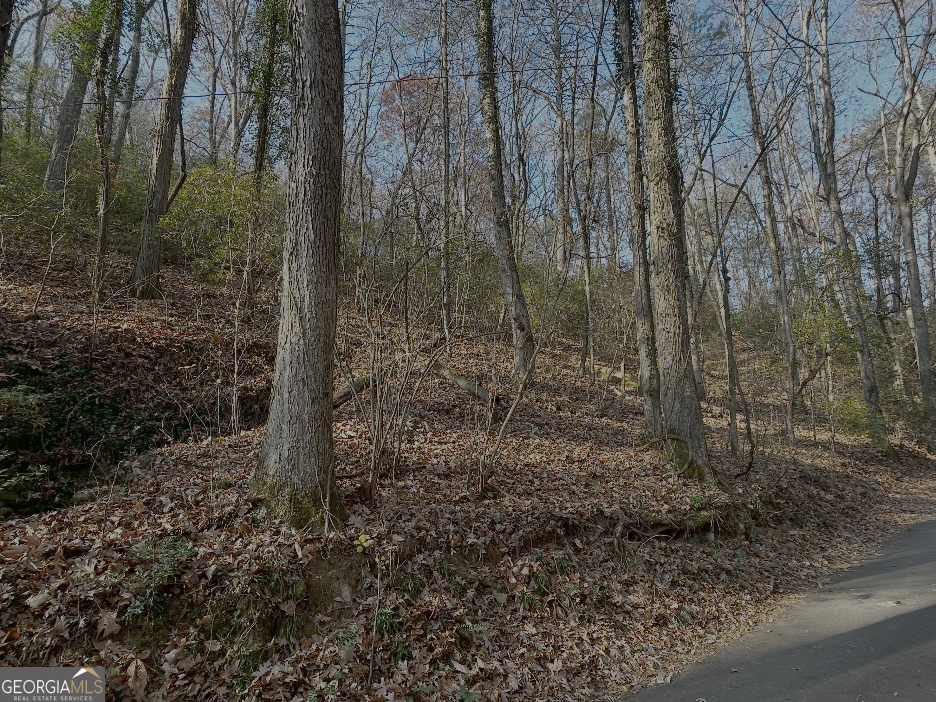 308 Rhododendron Lane Sautee Nacoochee GA 30571
