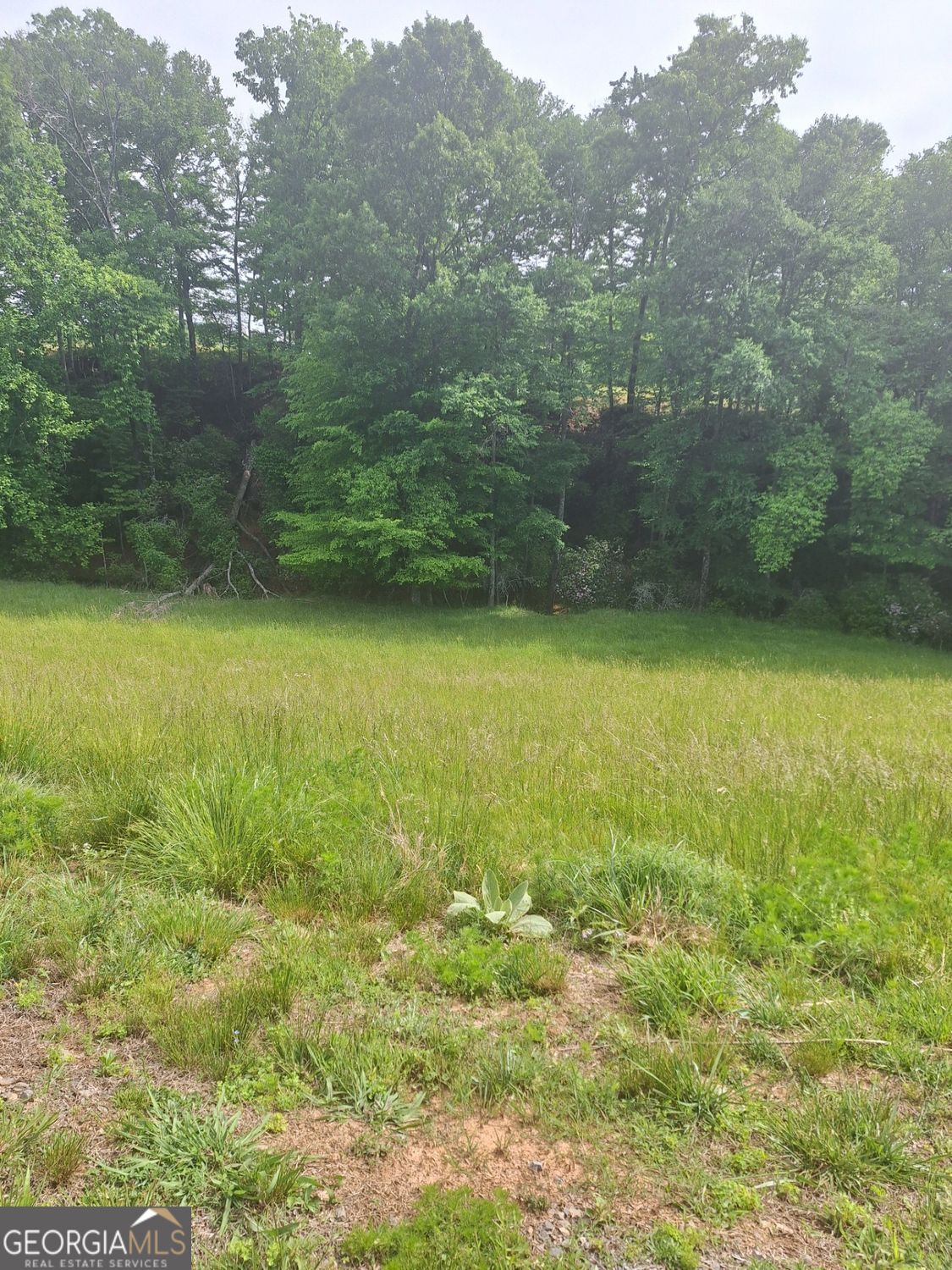 Lot 67 Hillside Court Morganton GA 30560