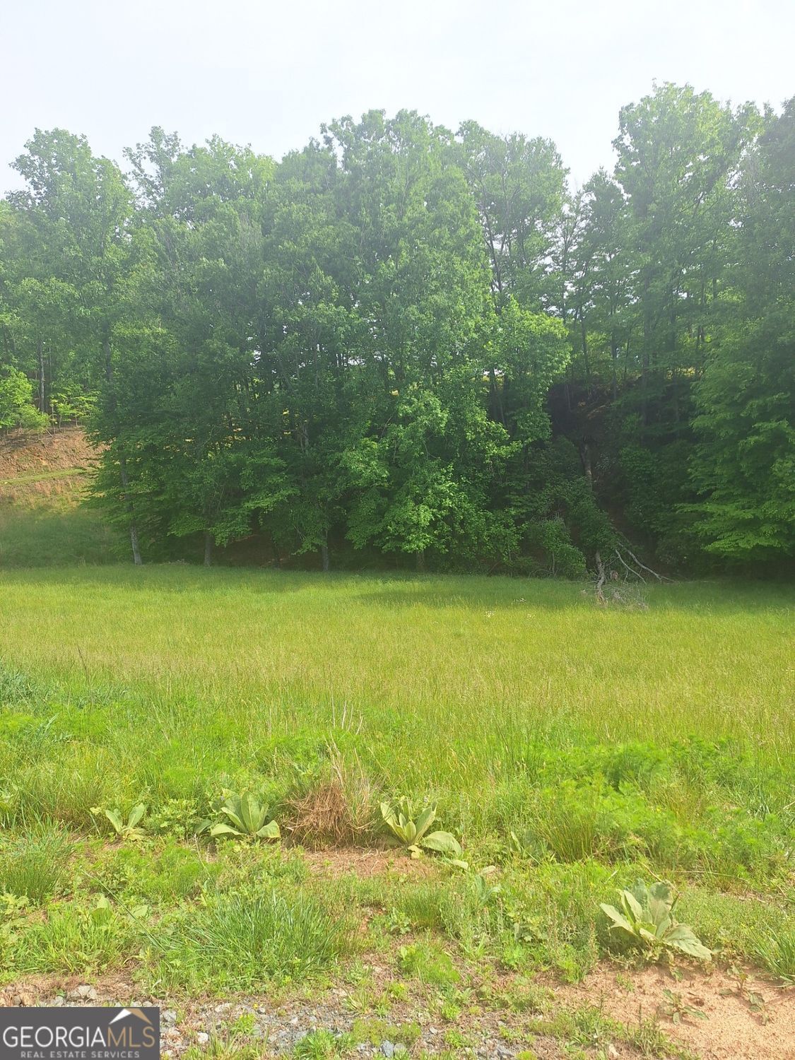 Lot 67 Hillside Court Morganton GA 30560
