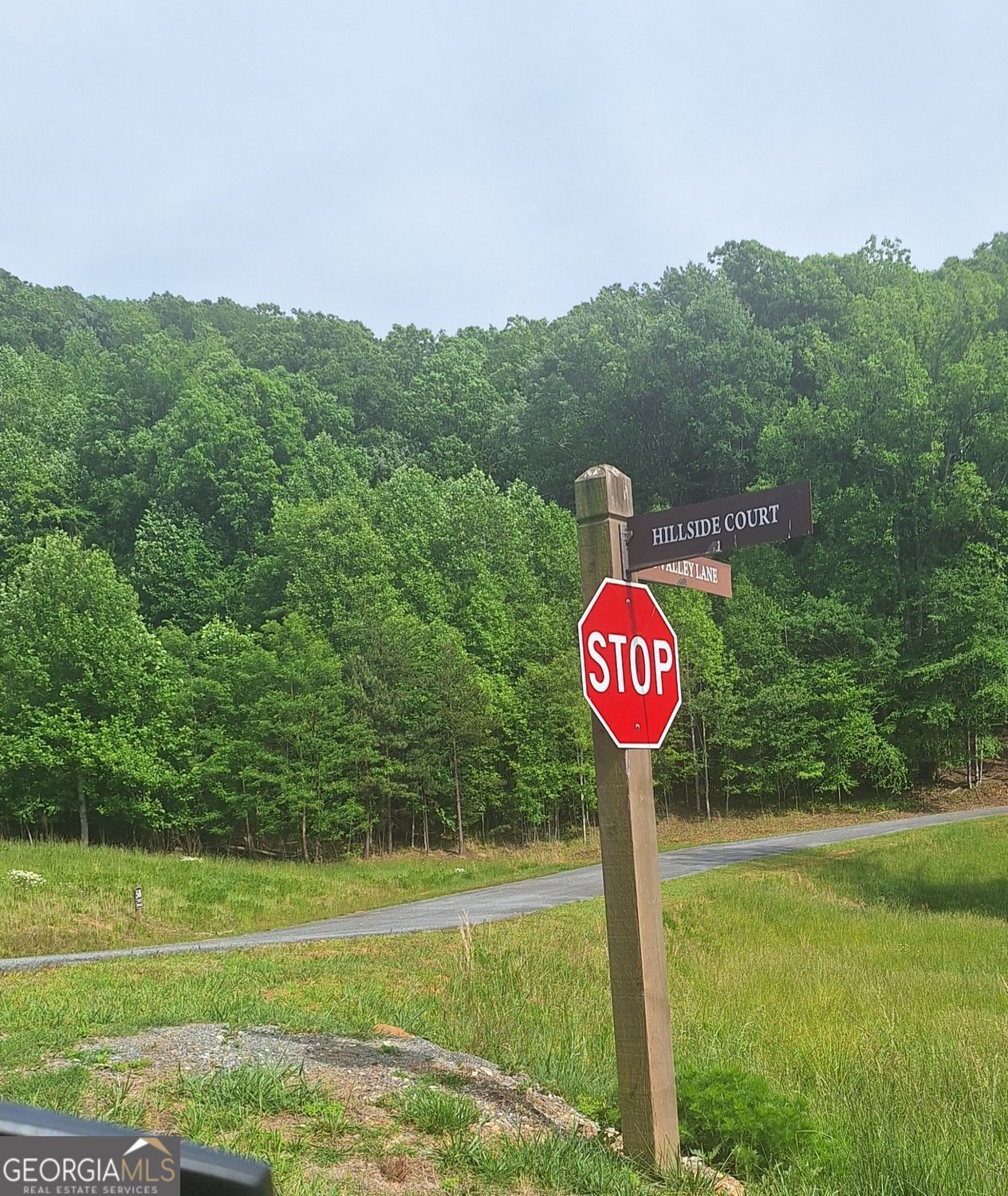 Lot 67 Hillside Court Morganton GA 30560
