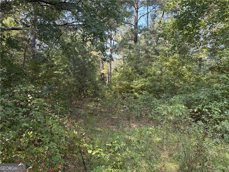 6355 Kimberly Mill Road South Fulton GA 30349