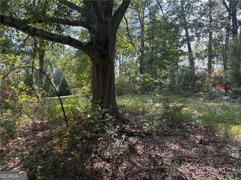 6355 Kimberly Mill Road South Fulton GA 30349
