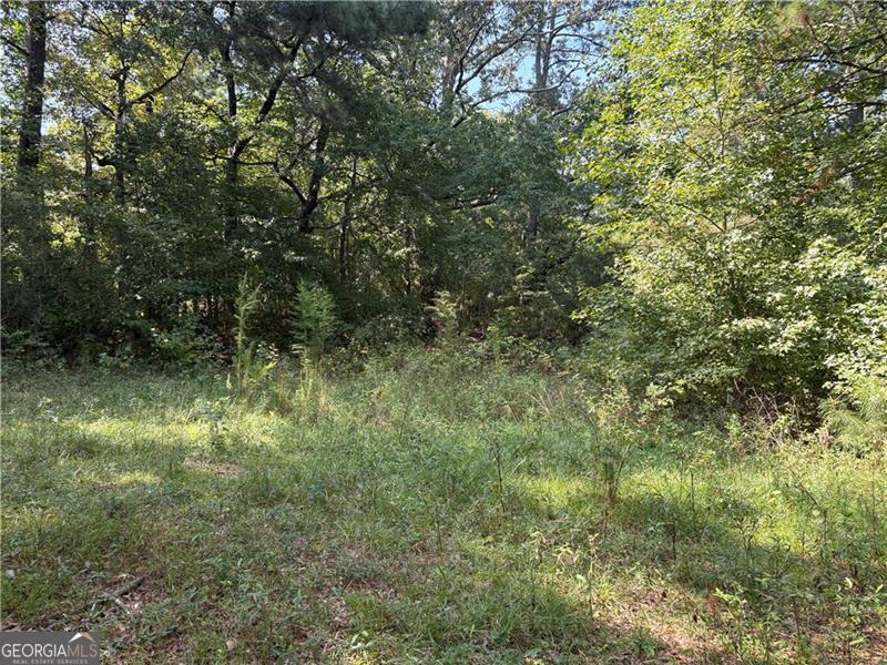6355 Kimberly Mill Road South Fulton GA 30349