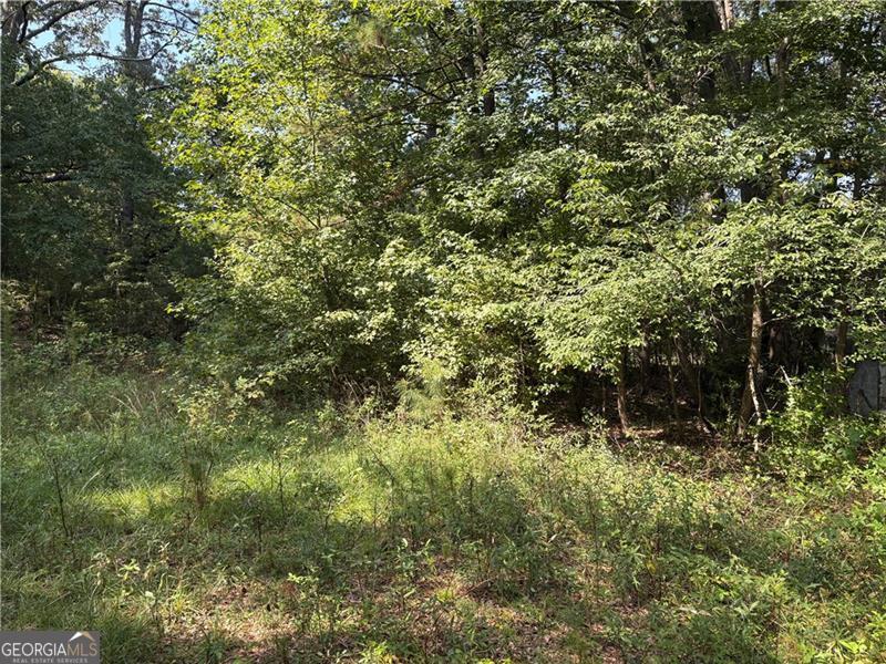 6355 Kimberly Mill Road South Fulton GA 30349