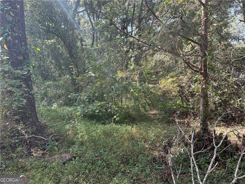 6355 Kimberly Mill Road South Fulton GA 30349