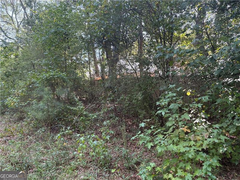 6355 Kimberly Mill Road South Fulton GA 30349