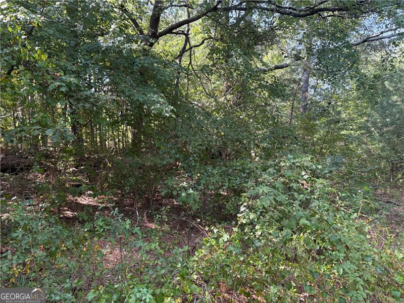 6355 Kimberly Mill Road South Fulton GA 30349