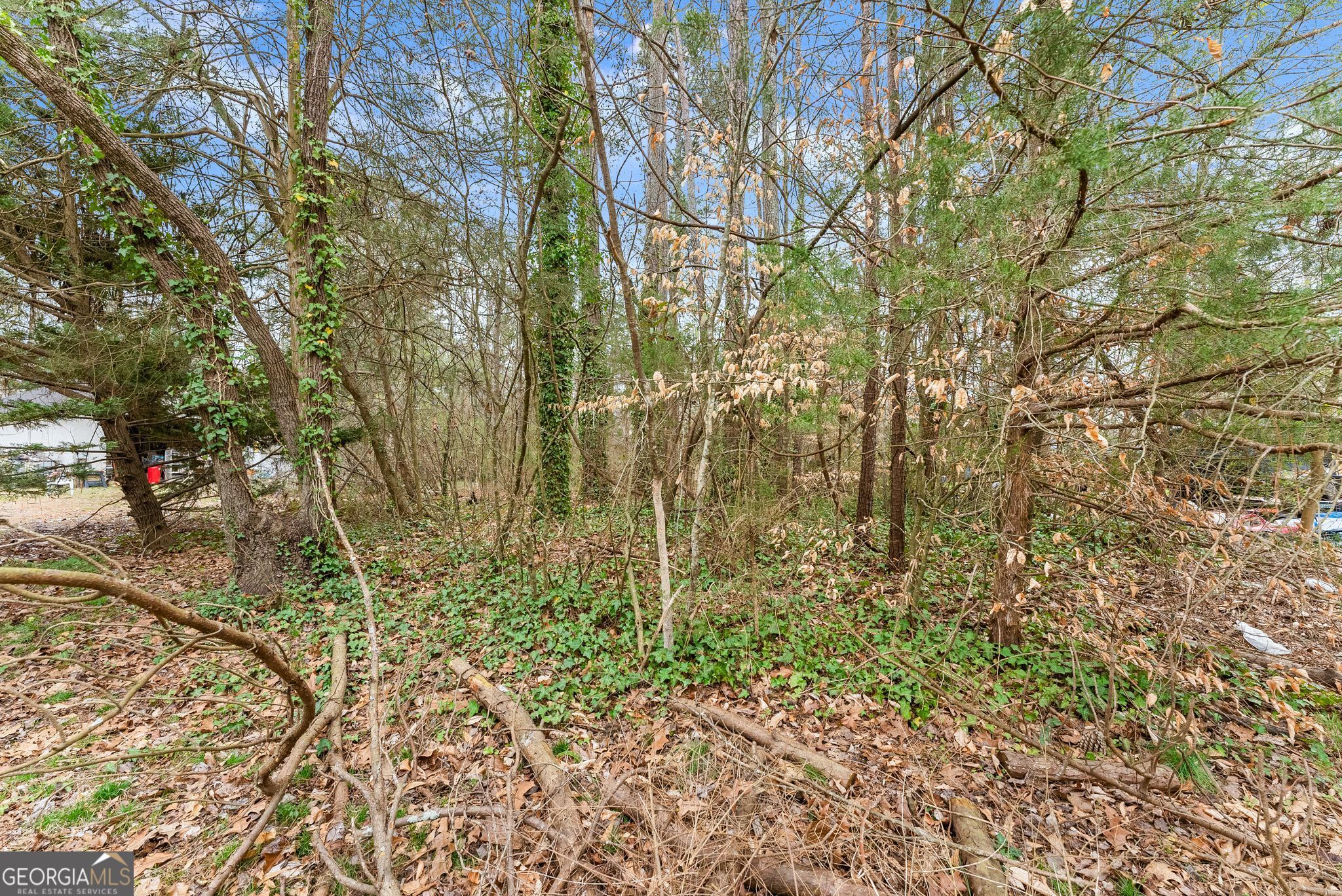20 Waterwood Place Lavonia GA 30553