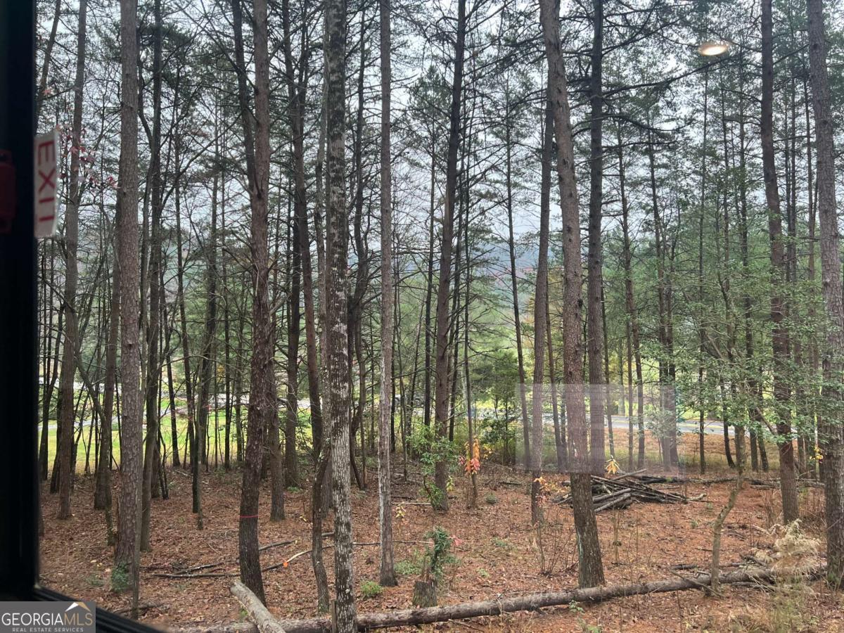 Lot 5 Morganton Highway Suches GA 30572