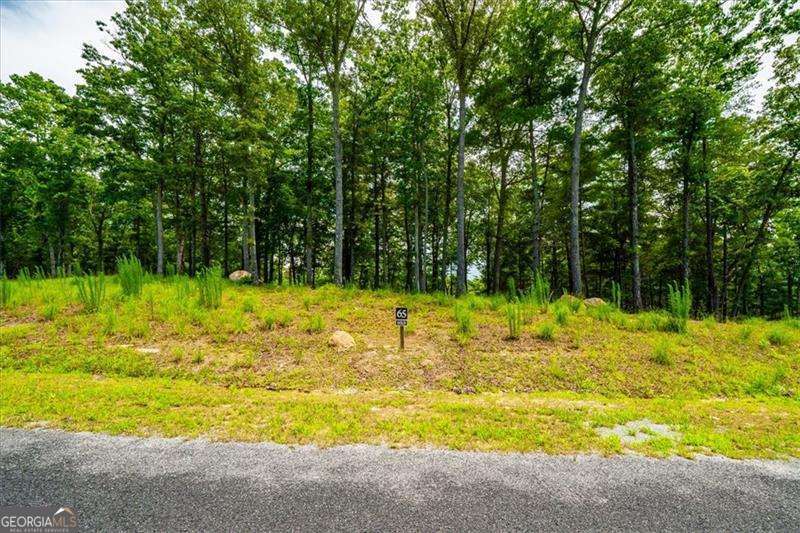 0 Ridge Drive Morganton GA 30560