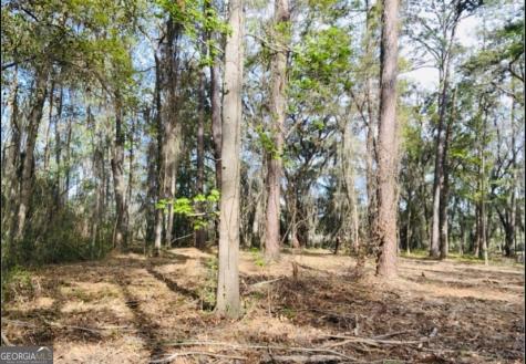 0 W Black Island Road SE Darien GA 31305