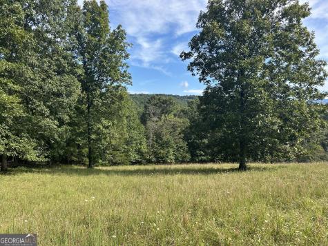 8AC Jimmy Nicholson Road Blairsville GA 30512