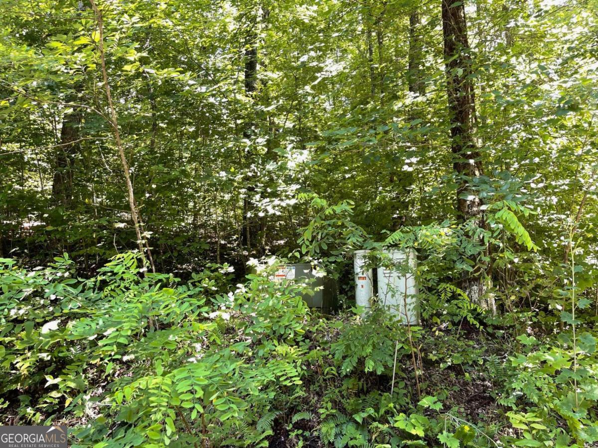 Lot 32 Fodder Creek Mill Drive Hiawassee GA 30546