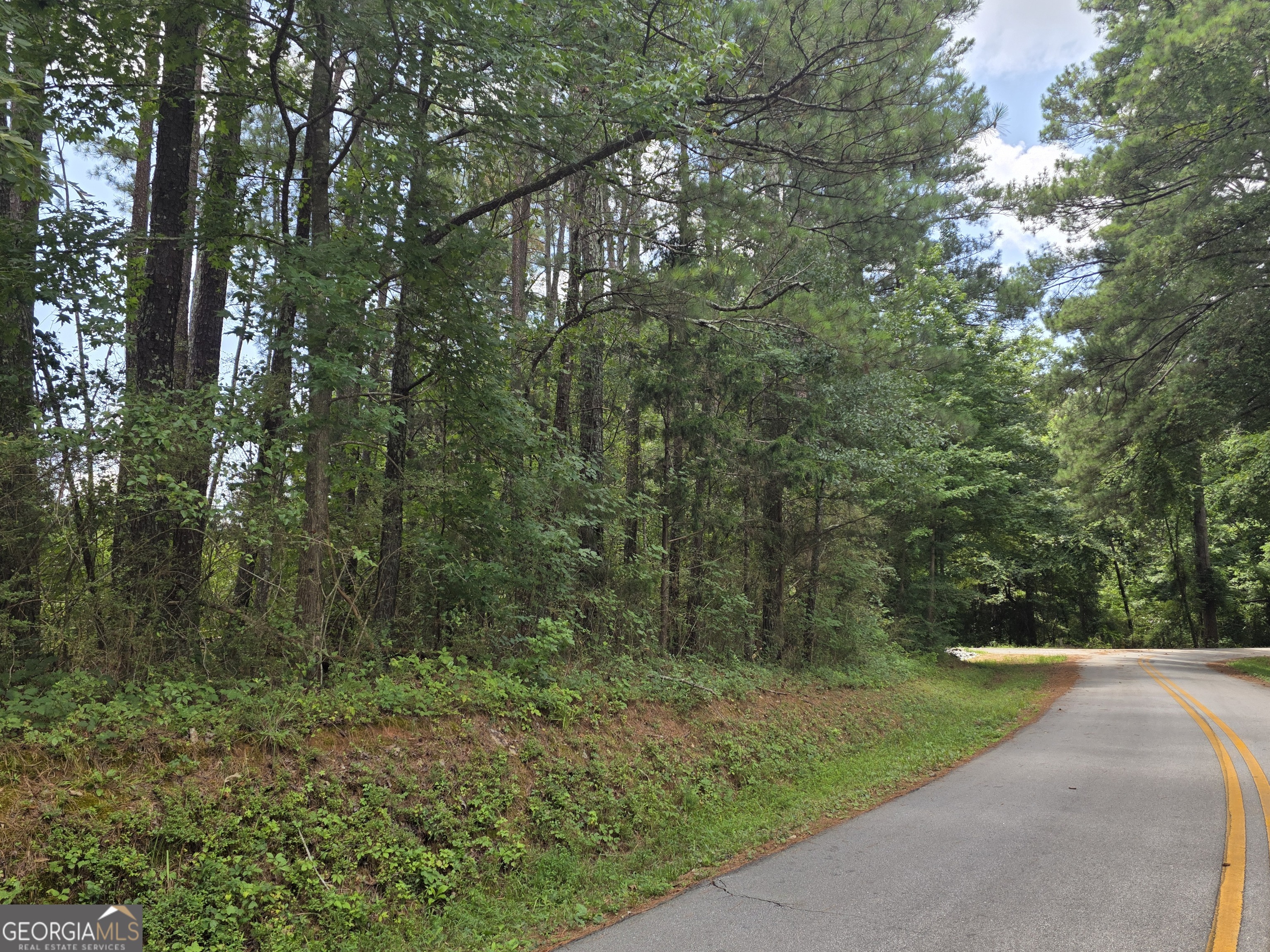0 Wehunt Road Covington GA 30016
