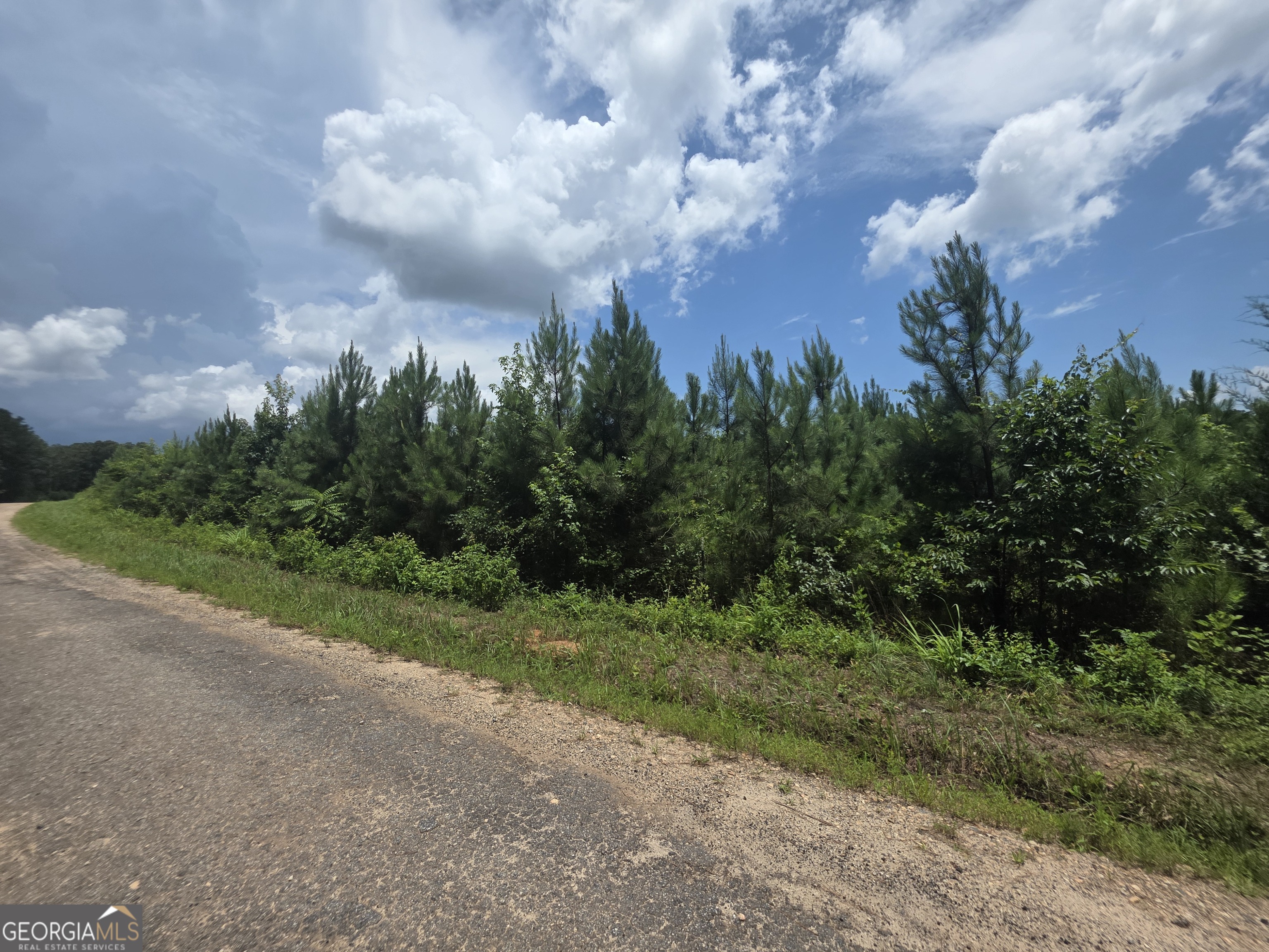 0 Wehunt Road Covington GA 30016
