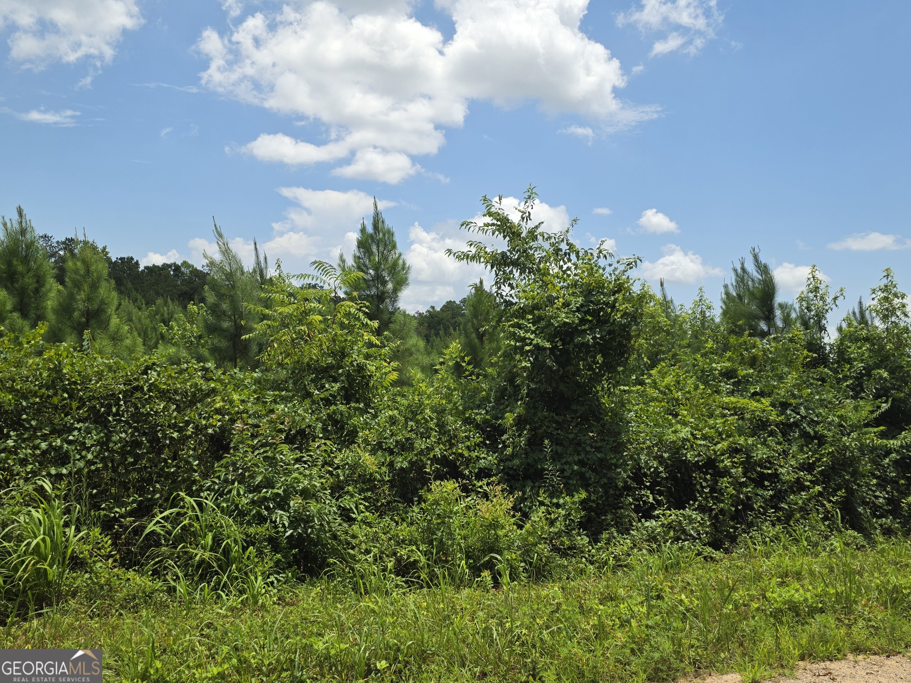 0 Wehunt Road Covington GA 30016