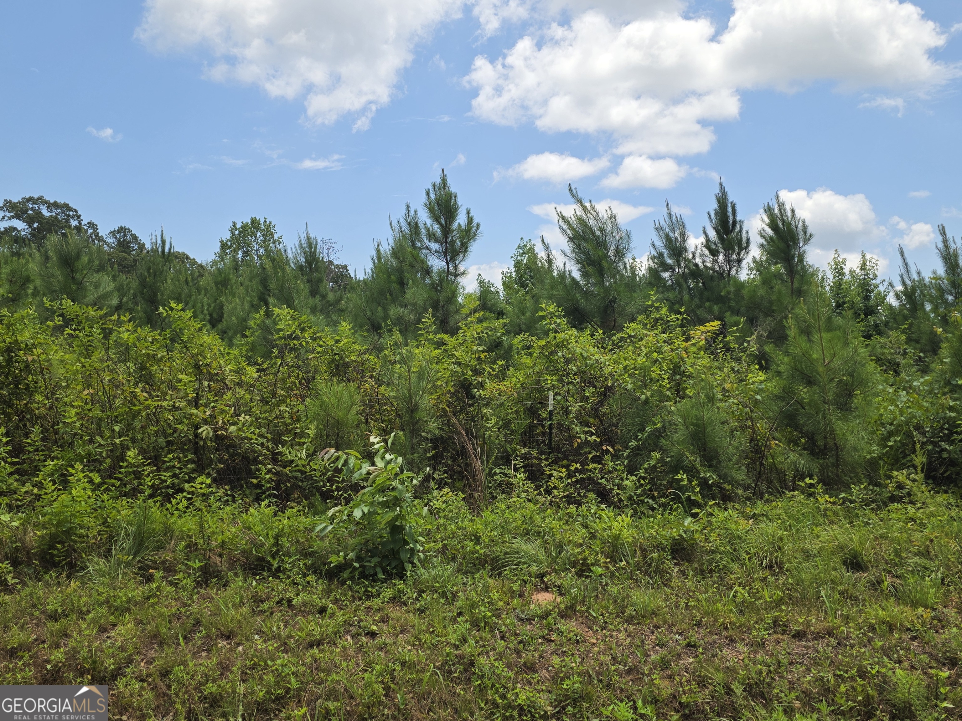 0 Wehunt Road Covington GA 30016